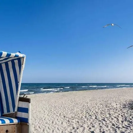 Inselliebe Mit Sauna Zempin