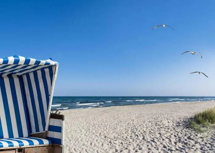 Inselliebe Mit Sauna Zempin